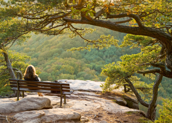 If Mindfulness Is So Great, Why Isn’t Everyone Doing It?