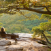 If Mindfulness Is So Great, Why Isn’t Everyone Doing It?