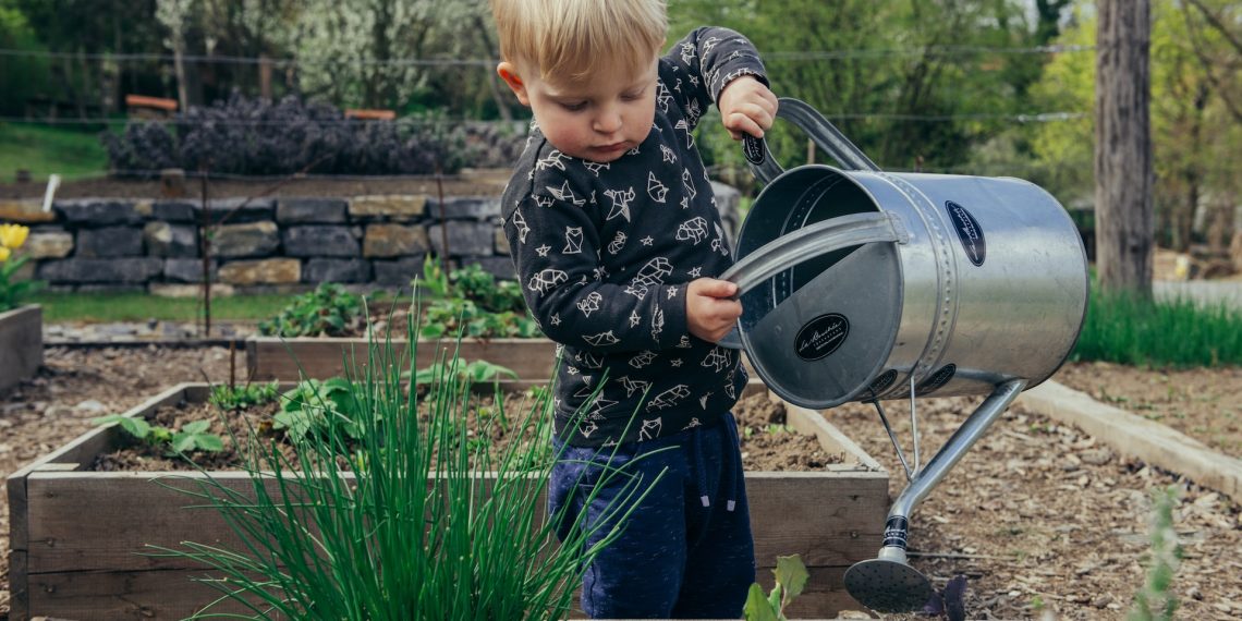 The Joy of Gardening: A Beginner’s Guide to Starting Your Own Garden