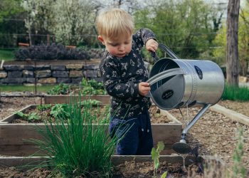 The Joy of Gardening: A Beginner’s Guide to Starting Your Own Garden