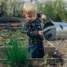 The Joy of Gardening: A Beginner’s Guide to Starting Your Own Garden
